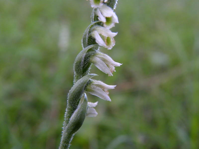 DSCN8848.JPG